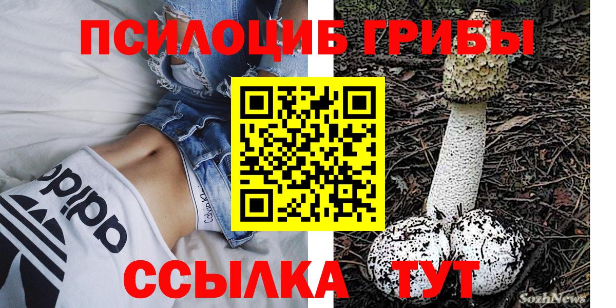 Галлюциногенные грибы Cubensis Краснокаменск